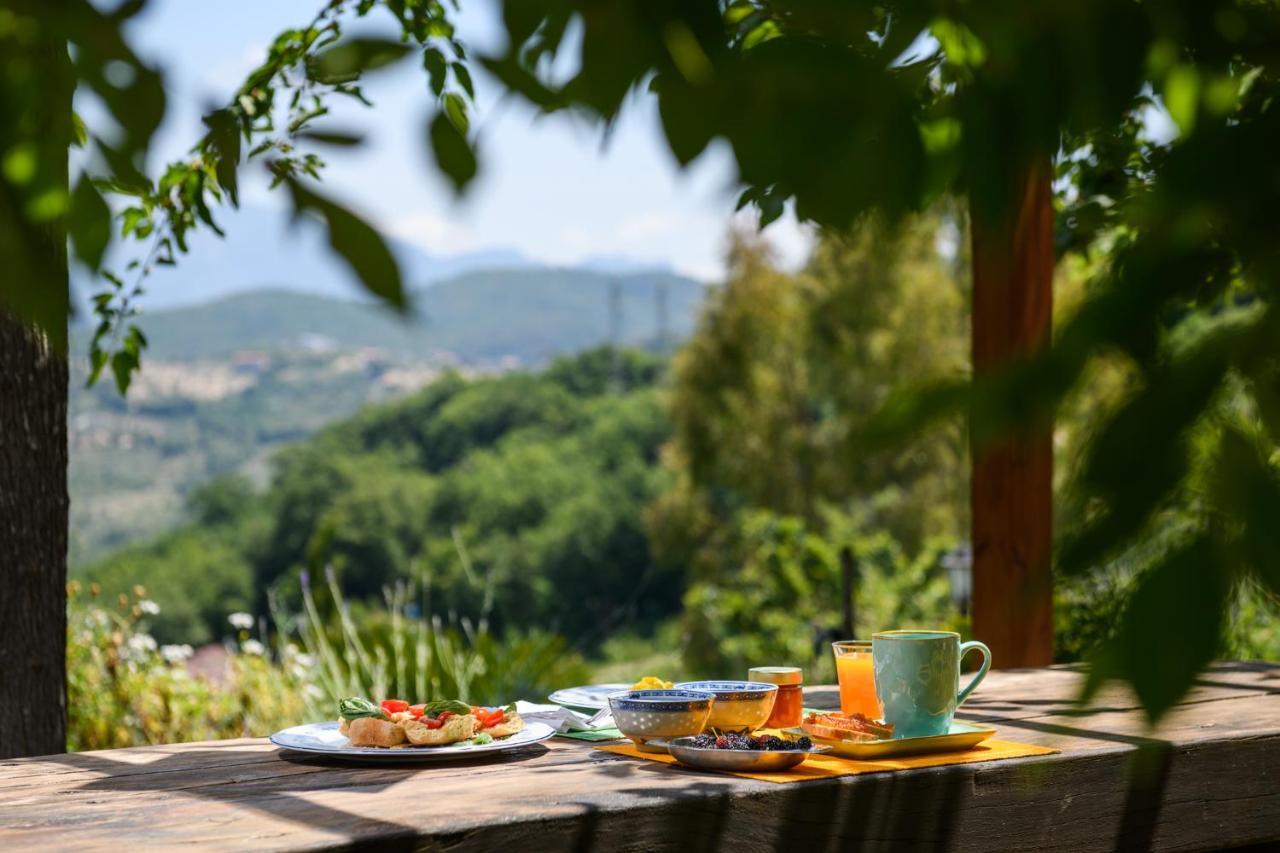 B&B Albachiara Casa Di Campagna Ogliastro Cilento Kültér fotó
