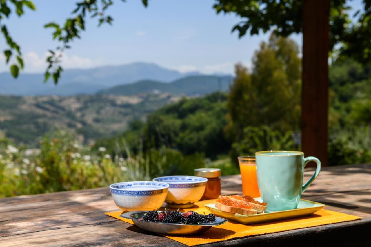 B&B Albachiara Casa Di Campagna Ogliastro Cilento Kültér fotó