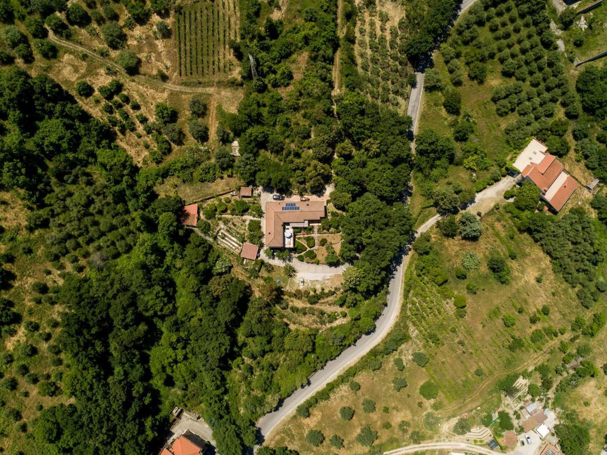 B&B Albachiara Casa Di Campagna Ogliastro Cilento Kültér fotó