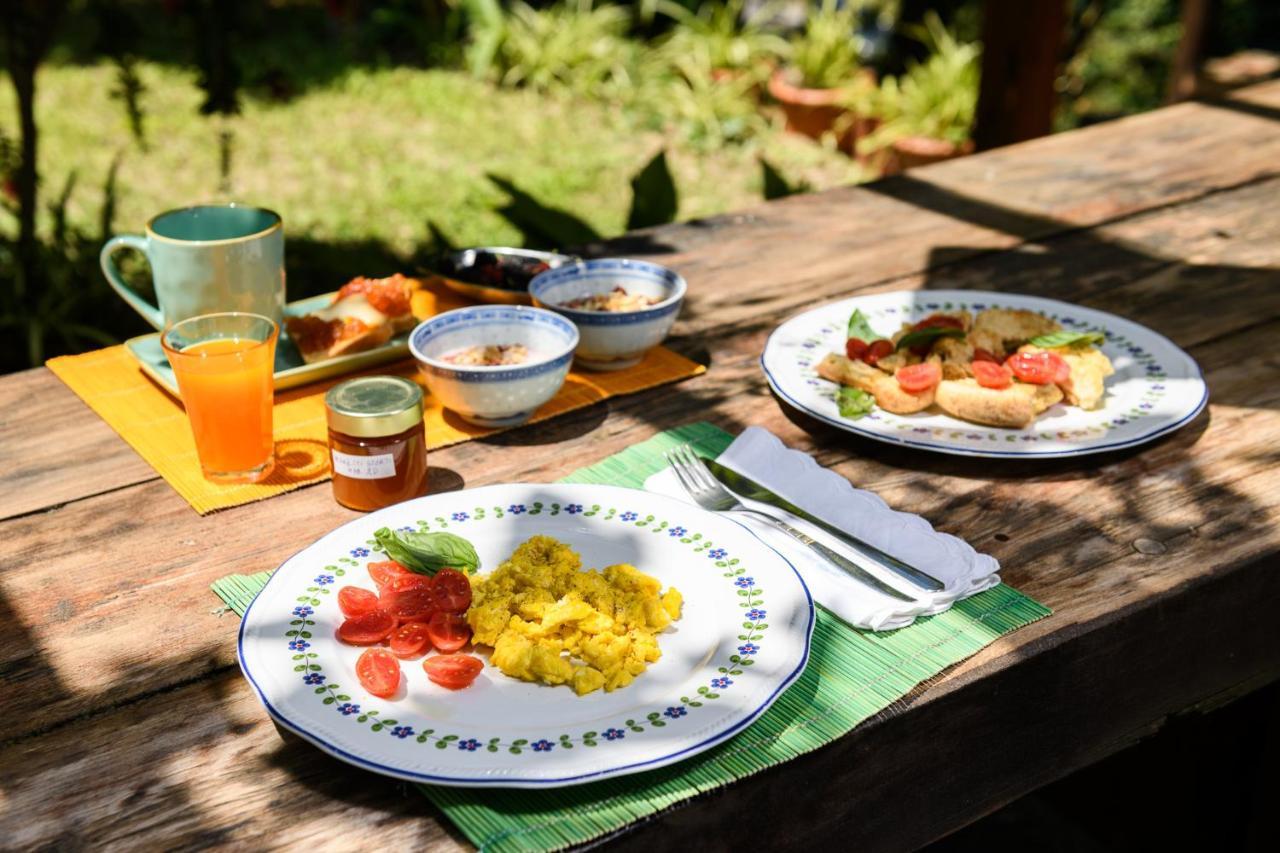 B&B Albachiara Casa Di Campagna Ogliastro Cilento Kültér fotó