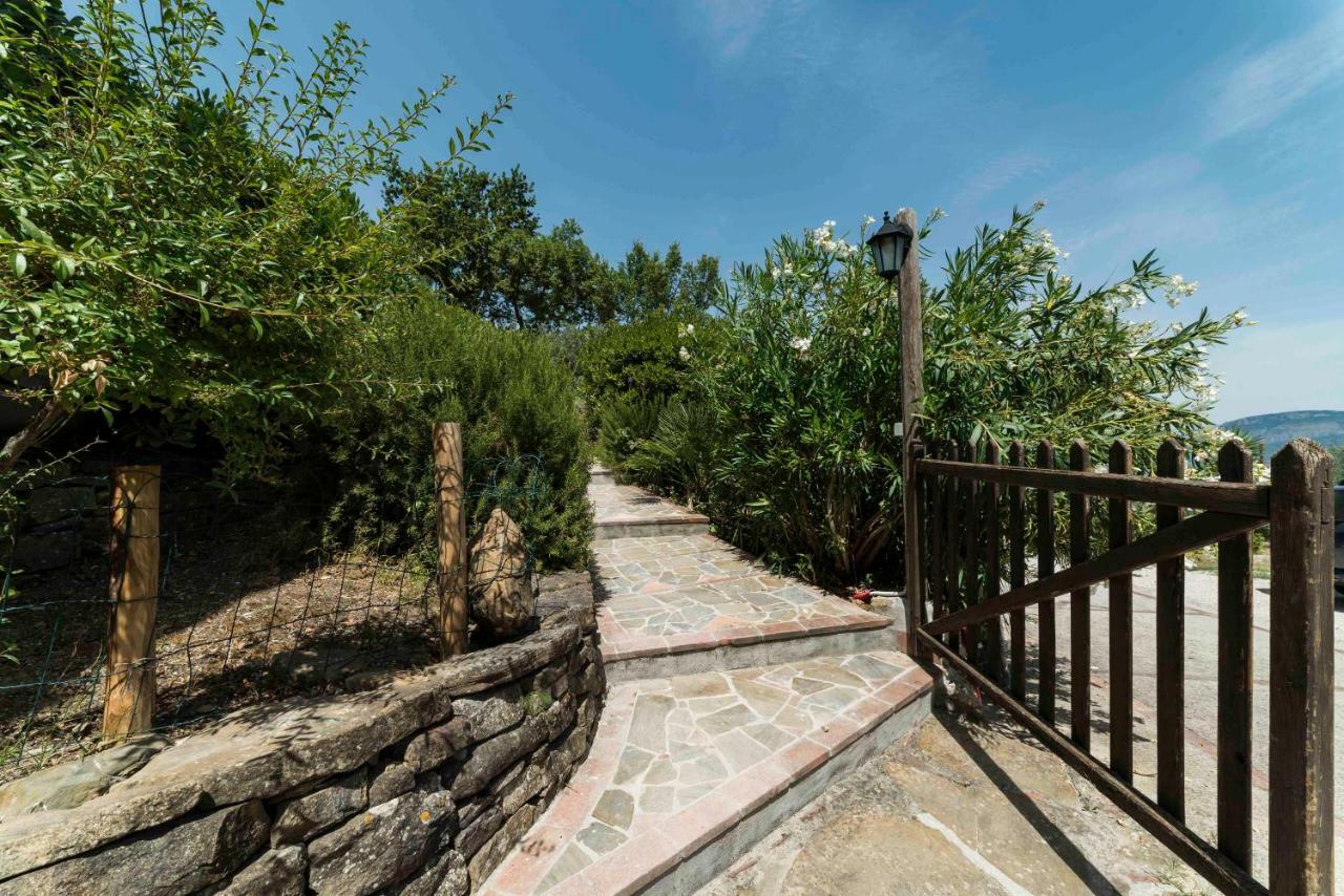 B&B Albachiara Casa Di Campagna Ogliastro Cilento Kültér fotó