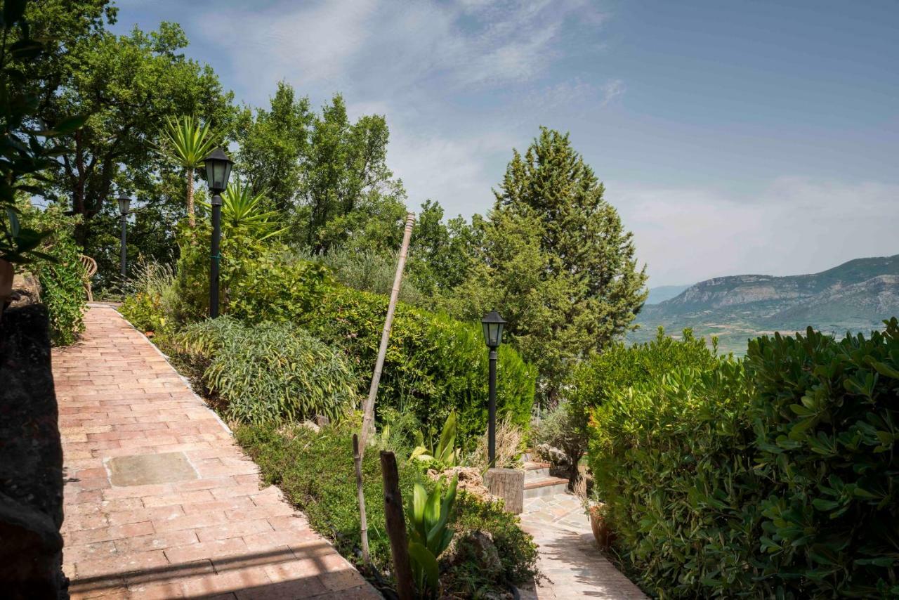B&B Albachiara Casa Di Campagna Ogliastro Cilento Kültér fotó